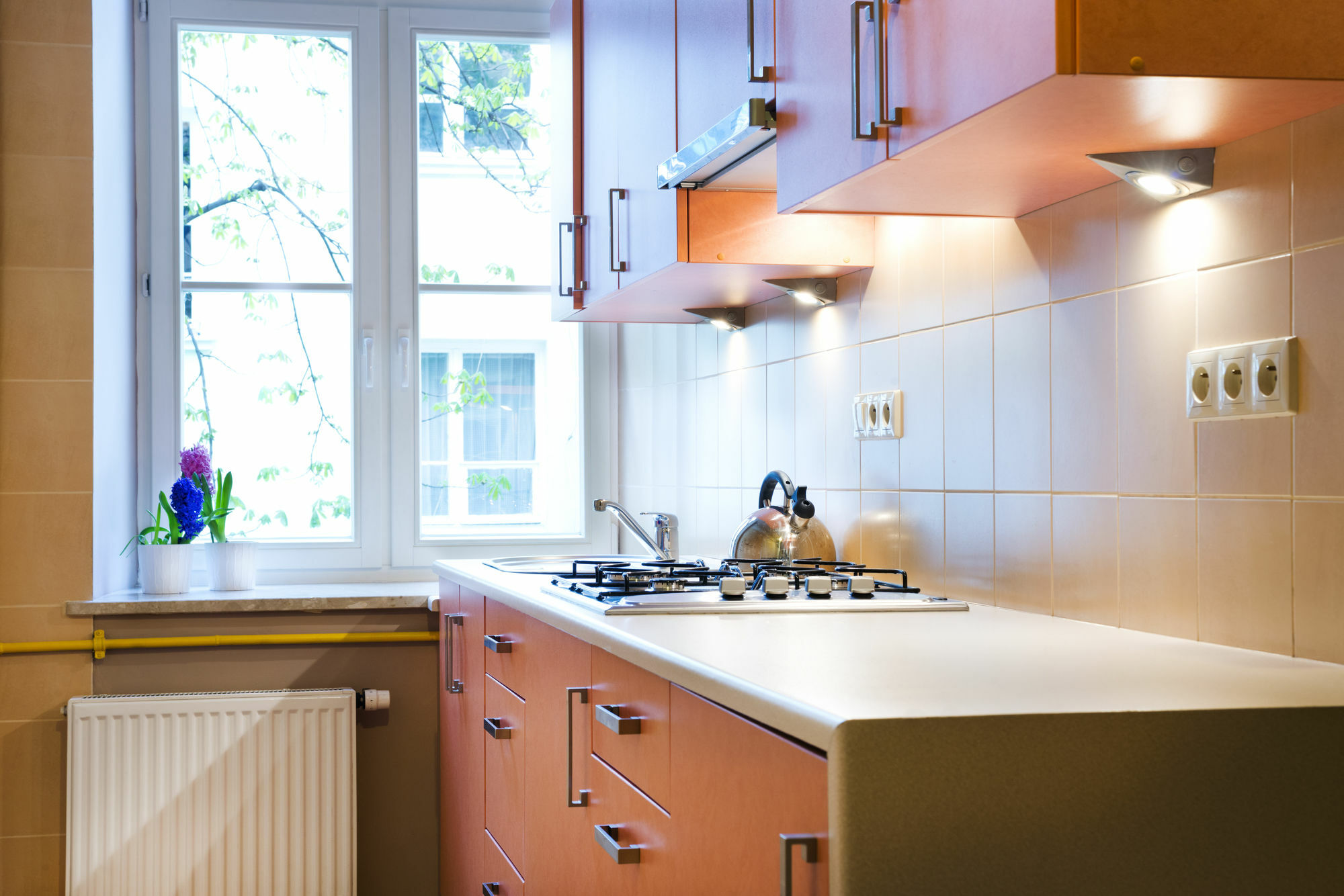 Apartamenty I Studia Herbarium Krakow Exterior photo